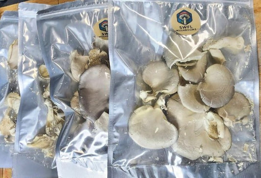 Freeze-dried Fresh Blue Oyster Mushrooms