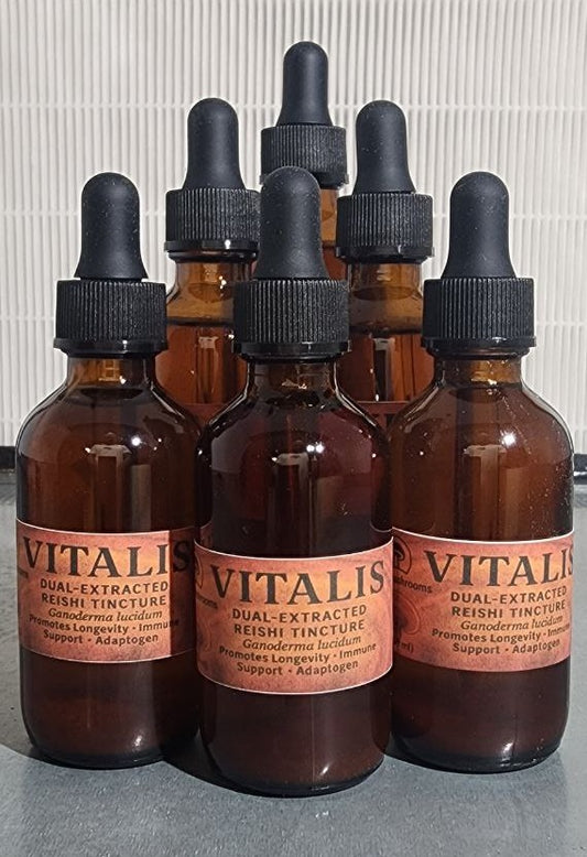 Reishi Tincture