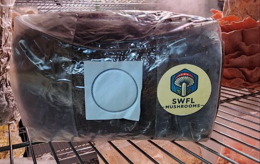 5 lb Sterile substrate bag